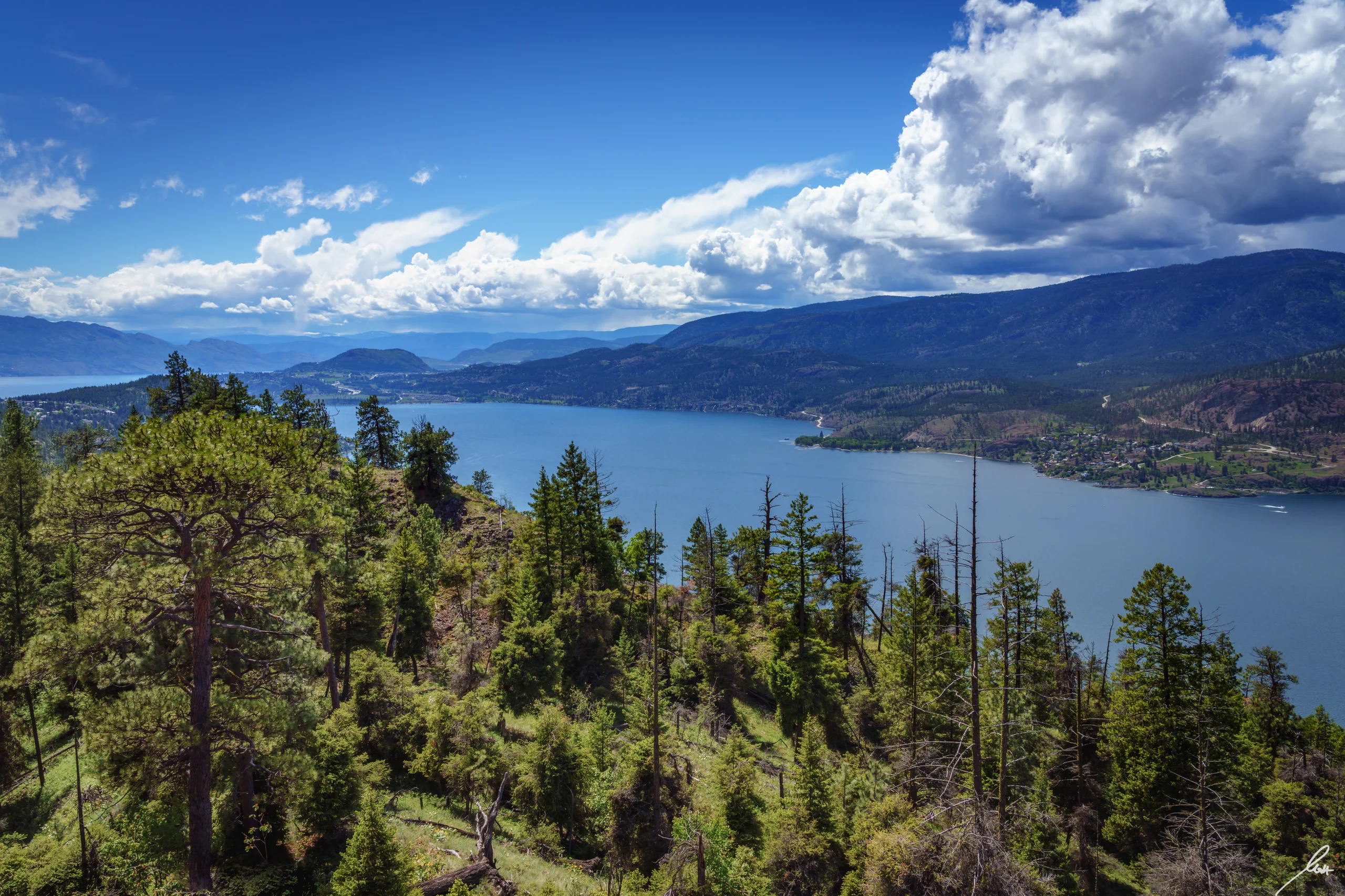 Okanagan Lake shoreline